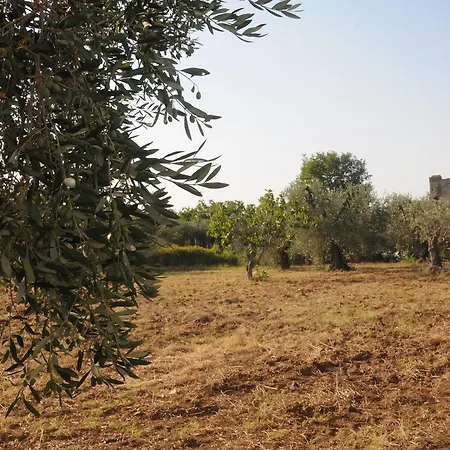 Séjour à la campagne A Fascjnedd Pisticci