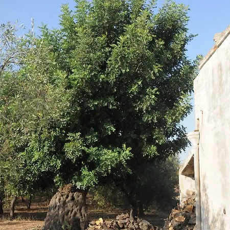 A Fascjnedd Séjour à la campagne Pisticci