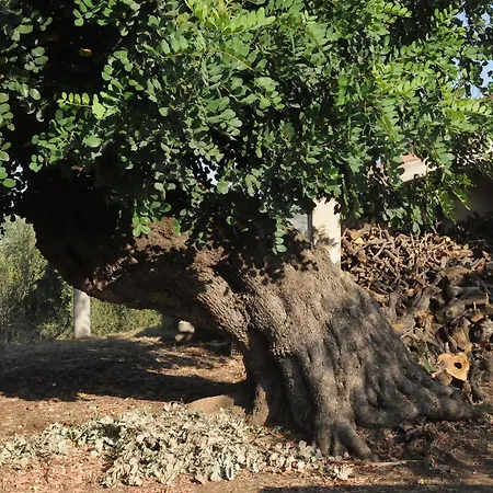 A Fascjnedd Séjour à la campagne Pisticci