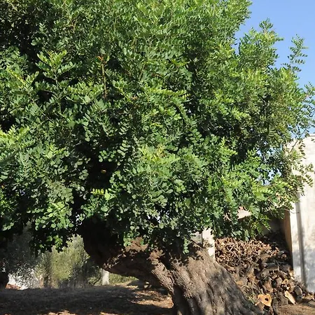 Casa rural A Fascjnedd Pisticci